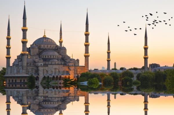 Magnificent Turkey